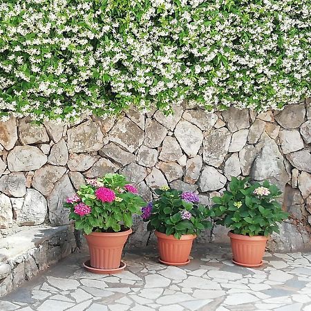 Villa Gromaca Omišalj المظهر الخارجي الصورة